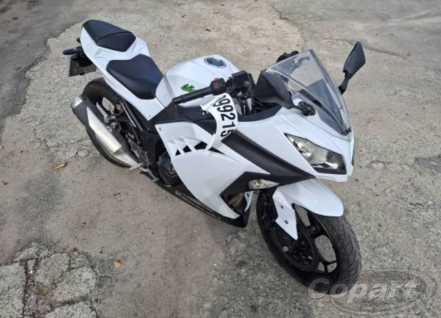 NINJA 300 2015