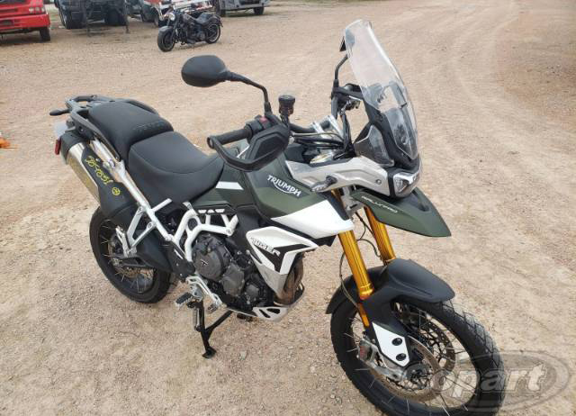 TIGER 900 RALLY PRO 2020